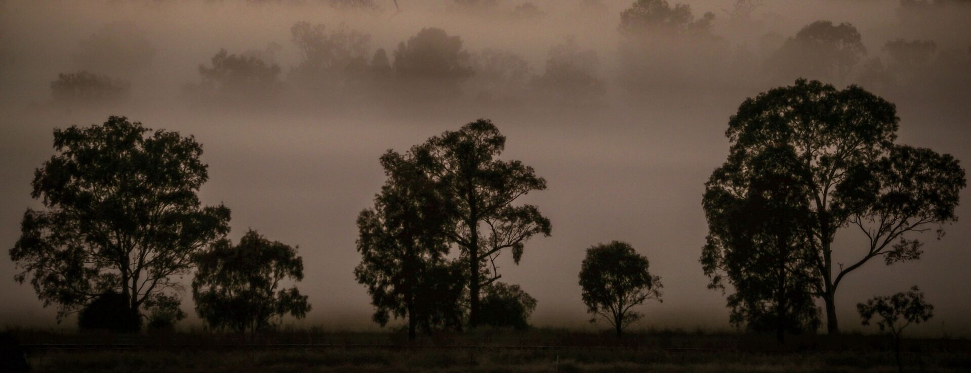 IRS Reaches First Settlement in Conservation Easement Crackdown